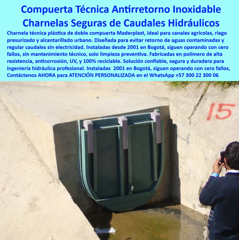 Charnela Para Canales Anti Retorno Instalación Charnelas Anti Inundaciones Maderplast 0 tapa de inspección hidráulica para canales sistema de compuerta doble para regulación de caudales agrícolas charnela técnica canal ptar 01 Esta imagen muestra con claridad la realidad técnica y el éxito comprobado de las charnelas hidráulicas de Maderplast. Lo que ves no es una simple válvula plástica antirretorno, es una historia de ingeniería que comenzó en el año 2001, cuando se instaló esta compuerta técnica antirretorno inoxidable en el canal del río Fucha, en Bogotá, como parte de las primeras fases del Plan Maestro de Alcantarillado de Bogotá, y que hoy, más de 20 años después, sigue operativa sin fallos, sin oxidarse, sin mantenimiento técnico más allá de una limpieza preventiva. La charnela doble para control de caudal en canal que aparece en esta fotografía no solo mantiene su integridad estructural sino que sigue funcionando como el primer día, ofreciendo control hidráulico sin energía, sin trabas, sin fugas, sin óxidos, en uno de los entornos urbanos más exigentes de Latinoamérica., - Esta compuerta hidráulica plástica anticorrosiva, instalada sobre un canal de concreto tipo box, confluye en una zona clave del drenaje del río Bogotá, fue inspeccionada recientemente como parte de la validación técnica del nuevo canal Tintal 3, y fue aprobada por todas las entidades: la CAR, la EAAB, el contratista Power China, validando así no solo su diseño y desempeño, sino su continuidad como la solución hidráulica elegida para las siguientes etapas del plan Canoas y la PTAR Canoas. Estamos hablando de un sistema de compuerta plástica de doble hoja, operada por gravedad, con función antirretorno, ideal para alcantarillado urbano, canales agrícolas presurizados, ductos de aguas contaminadas, o redes combinadas, y completamente adaptable a proyectos PTAR, PTAP, distritos de riego o drenaje pluvial urbano., - El material en el que fue fabricada esta válvula técnica sin óxido ni fallos es un polímero de ingeniería anticorrosivo de alta resistencia, 100 % reciclable, que soporta agentes químicos, rayos UV, agua salada y presión hidráulica variable, garantizando una vida útil prolongada sin intervención técnica costosa. Su diseño estructural está pensado para operar incluso en zonas de difícil acceso o vandalismo, ya que no presenta piezas metálicas expuestas, no se corroe y no requiere refuerzos externos. Esta charnela técnica canal de concreto tipo box cumple con los más altos estándares de durabilidad, ingeniería sostenible y funcionalidad hidráulica, siendo ideal para zonas rurales y urbanas que requieren soluciones robustas, sencillas, económicas y de alta efectividad., - La válvula plástica con doble compuerta no necesita energía eléctrica, ni presión hidráulica previa, ni grúas para su instalación, ni mecanismos complicados para su inspección. Basta con su diseño natural y la fuerza del flujo de agua para garantizar su operación. Eso es lo que ha hecho que esta charnela hidráulica urbana se mantenga activa durante más de dos décadas, sin que el paso del tiempo, las lluvias, los residuos, los cambios climáticos o la exposición pública la afecten. Esta es la válvula eficiente en infraestructura urbana que muchos técnicos buscan pero pocos encuentran, porque cumple con todo lo que promete: resistencia, cierre hermético, bajo costo operativo, y una instalación rápida, limpia, sin soldaduras ni mantenimiento costoso. Es una compuerta automática sin supervisión, liviana, segura y aprobada por la realidad., - Esta solución técnica anticontaminación permite evitar el retorno de agua contaminada, el rebose durante tormentas, la entrada de olores y plagas, y al mismo tiempo proteger viviendas, calles, campos y estaciones de tratamiento. La tapa hidráulica inspección canal urbano ha sido evaluada por especialistas de alto nivel, desde operarios hasta ingenieros civiles, y ha pasado la prueba del tiempo, de la presión, de la vigilancia técnica y de la realidad operacional. No es un prototipo, no es una promesa, es una instalación real que demuestra cómo una compuerta sin presión para alcantarillado puede ser tan funcional como una válvula de alta ingeniería importada, pero sin sus complicaciones ni costos elevados., - Por eso, si te preguntas ¿qué válvula usar en canales urbanos?, o ¿cuál es la válvula para evitar que el agua regrese en un canal agrícola o alcantarillado?, o incluso ¿qué compuerta plástica dura más de 20 años sin mantenimiento?, la respuesta está aquí, instalada, operativa, comprobada y visible: LA SOLUCIÓN LA DA MADERPLAST. Esta charnela doble resistente sin mantenimiento es el testimonio vivo de que con materiales adecuados, diseño inteligente y fabricación nacional de alta ingeniería, es posible lograr soluciones que no solo funcionan, sino que duran. No importa si tu proyecto es pequeño o monumental, urbano o rural, PTAR o canal agrícola, abierto o presurizado: si buscas una válvula plástica anticontaminación para alcantarillado, una tapa de cierre técnico reciclable, un sistema de cierre para canal urbano, una charnela resistente a químicos y rayos UV o una compuerta de inspección para canal agrícola, aquí tienes una sola solución para todas las respuestas., - Y recuerda esto: esta no es solo una válvula, es un argumento ganador, una inversión sin arrepentimiento, una tecnología con respaldo. Solicita asesoría personalizada ahora mismo con un especialista técnico de Maderplast, en este WhatsApp +57 300 22 300 06, porque cuando el agua no puede fallar, cuando el canal debe fluir, cuando el sistema exige seguridad y resistencia, la única respuesta confiable, duradera y profesional es clara: LA SOLUCIÓN LA DA MADERPLAST. Charnela Para Canales Anti Retorno Instalación Charnelas Anti Inundaciones Maderplast 0 tapa de inspección hidráulica para canales, - sistema de compuerta doble para regulación de caudales agrícolas charnela-técnica-canal ptar