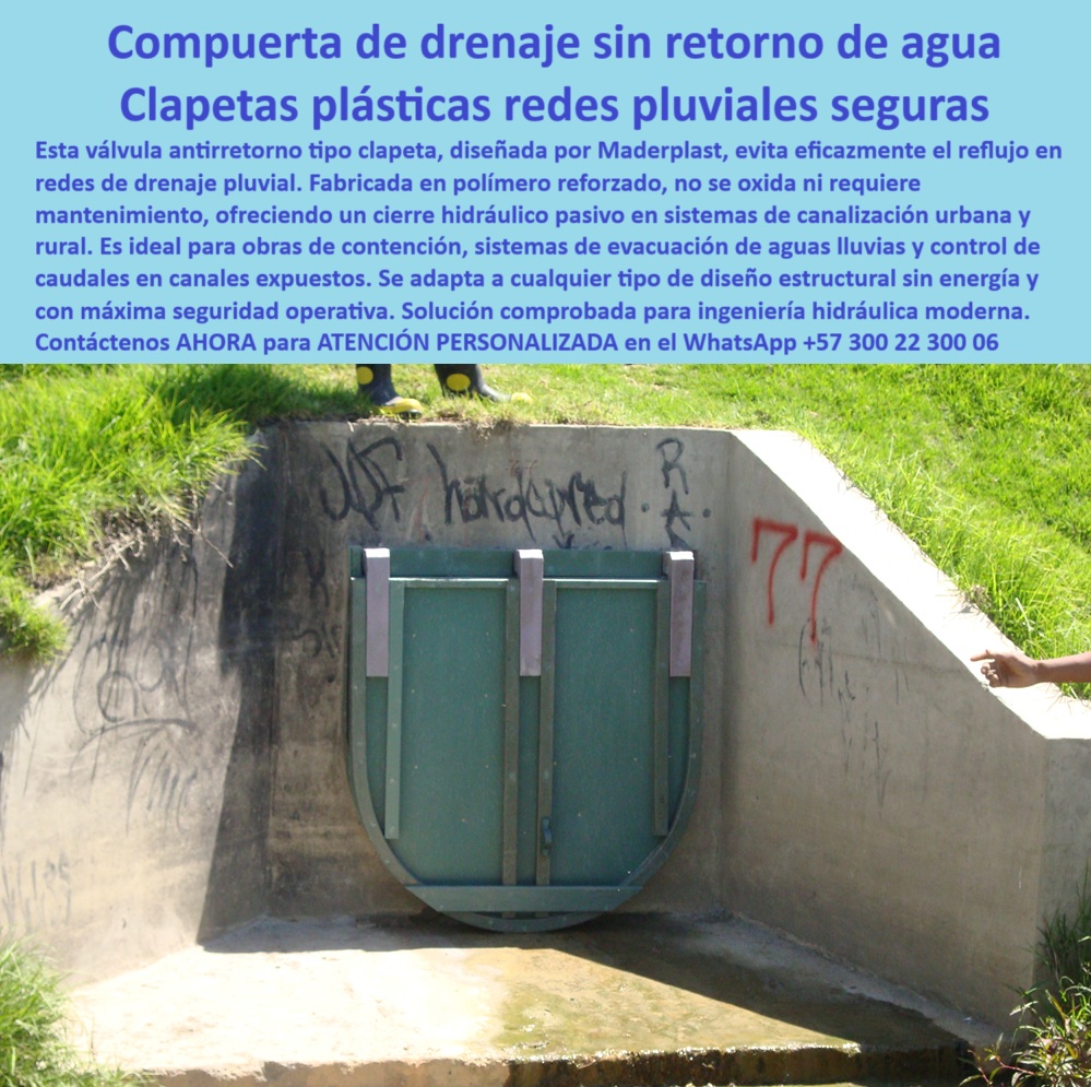 Charnela Válvula Antirretorno Salida Canal Cabezal De Cierre Hidráulico Maderplast 0 diseño de sistemas de drenaje con clapetas compuerta de polímero resistente compuerta de contención para red pluvial válvula agua mar 01 La imagen muestra una charnela plástica tipo clapeta instalada desde el año 2001 en un canal de concreto perteneciente al sistema de drenaje pluvial urbano del río Fucha en Bogotá. La compuerta, claramente identificable por su diseño rectangular reforzado con tres nervaduras y bisagras plásticas, se encuentra en funcionamiento después de más de dos décadas, como testimonio tangible de durabilidad, resistencia e ingeniería bien aplicada. A pesar de estar expuesta a rayos UV, humedad constante, lluvias intensas, vandalismo y sedimentos, la compuerta se mantiene operativa y en perfecto estado, sin signos de corrosión, óxido o fallos estructurales. Esta es la válvula número 77, parte del exitoso lote instalado por Maderplast en el marco del Plan Maestro de Alcantarillado de Bogotá que conecta con la PTAR Canoas, validado y aprobado por EAAB, CAR y el contratista Power China., - Este caso real fue documentado durante una inspección técnica previa a la expansión del proyecto hacia el nuevo canal Tintal 3, donde el cliente repite el pedido al verificar la eficiencia comprobada del sistema instalado desde 2001. La válvula utilizada es una compuerta de drenaje sin retorno de agua, también conocida como clapeta hidráulica de polímero resistente, fabricada en material plástico técnico reforzado, libre de partes metálicas y de mantenimiento. Su operación pasiva por gravedad garantiza una solución sostenible y duradera para sistemas de evacuación de aguas lluvias, tanto en zonas rurales como urbanas., - Esta compuerta de contención para red pluvial está diseñada específicamente para controlar caudales en canales expuestos, asegurando el cierre unidireccional del flujo y previniendo eficientemente reflujos contaminados. En respuesta a la pregunta: ¿Qué compuerta se usa en drenaje pluvial sin retorno?, la respuesta técnica es clara: válvula tipo clapeta reforzada para canal de agua lluvia sin energía. ¿Válvula recomendada para redes pluviales sin presión?: charnela técnica de polímero resistente con activación por gravedad. ¿Imagen técnica de compuerta en canal sin mantenimiento?: charnela pasiva instalada en red urbana de drenaje expuesto., - Este sistema cumple rigurosamente con lo exigido en normativas técnicas actuales, funcionando como válvula antirretorno sin energía para canal abierto, válida para proyectos donde se exige protección contra inundaciones, reflujos y contaminación por retorno de aguas lluvias. Es ideal para compuerta plástica para ríos urbanos y pluviales, siendo parte de soluciones técnicas que Maderplast ha posicionado como estándar de calidad en el sector hidráulico colombiano., - Su diseño responde directamente a los requerimientos de tapa-plástica-cierre-unidireccional, tapa plástica para drenaje sin energía ni mantenimiento, charnela-canal-urbano-expuesto, válvula-antirretorno-drenaje-pluvial, e incluso solicitudes específicas como: ¿Qué tapa hidráulica cumple normativa para PTAR Canoas? Respuesta Técnica: válvula antirretorno instalada desde 2001 aprobada por EAAB y la CAR., - Esta es la respuesta a décadas de preguntas técnicas, fallos en válvulas metálicas y sistemas colapsados por mantenimiento costoso. Con Maderplast, los proyectos hidráulicos no solo fluyen, se consolidan., - Porque Maderplast no solo hace válvulas…, - Maderplast no solo fabrica compuertas, fabrica confianza, fabrica futuro., - Si su proyecto exige resultados sin excusas, esta es la solución que debe instalar hoy mismo., - 📲 Contáctenos AHORA para ATENCIÓN PERSONALIZADA en el WhatsApp +57 300 22 300 06, - Una válvula bien instalada hoy es una emergencia evitada mañana. Charnela Válvula Antirretorno Salida Canal Cabezal De Cierre Hidráulico Maderplast 0 diseño de sistemas de drenaje con clapetas, - compuerta de polímero resistente, - compuerta de contención para red pluvial,  válvula agua mar