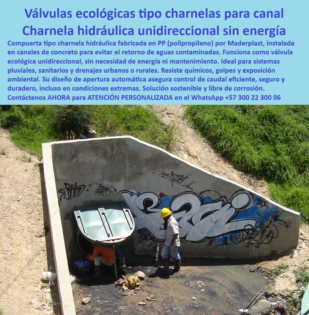 Charnela Válvula Antirretorno Salida Canal Cabezal De Cierre Hidráulico Maderplast 0 válvula ecológica unidireccional de canal Válvulas antirretorno tipo charnela instaladas en canal de concreto charnela hidráulica PP mar 01 En la imagen se observa una válvula ecológica unidireccional de canal tipo charnela hidráulica PP instalada desde el año 2001 en un canal urbano del río Fucha, en Bogotá. La escena captura una inspección técnica realizada más de 20 años después de su instalación original por parte del equipo especializado de Maderplast, como parte del seguimiento del PLAN MAESTRO DE ALCANTARILLADO DE BOGOTÁ, en el marco de los proyectos PTAR Canoas y Tintal 3. Dos técnicos, uno de ellos agachado evaluando el sistema de cierre, y otro de pie con casco amarillo observando, validan su óptimo estado de conservación y funcionalidad. La válvula tipo charnela para canal urbano Bogotá permanece perfectamente operativa, sin óxido, sin fugas, y completamente funcional, tras dos décadas de uso continuo bajo exposición directa al ambiente, aguas residuales y contaminantes., - Esta válvula hidráulica unidireccional sin energía está fabricada en polipropileno técnico (PP), un polímero de alta resistencia química y estructural. Su diseño como compuerta ecológica antirretorno le permite cerrar automáticamente gracias al flujo por gravedad, sin necesidad de presión hidráulica, sin motores, y sin partes metálicas. De esta forma, se eliminan por completo las tareas de engrase, lubricación, recambios por corrosión o monitoreo constante, lo que convierte este sistema en una verdadera solución de cero mantenimiento., - ¿Qué válvula se instala sin mantenimiento en alcantarillado? La respuesta es clara: la charnela antirretorno canal Bogotá que se ve en esta imagen. Su instalación embebida en un muro de concreto expuesto, marcado con grafitis urbanos, evidencia que se adapta perfectamente a infraestructuras existentes. La presencia de residuos en el suelo y la baja calidad del agua que se filtra debajo del cabezal confirman que esta válvula PP inspección hidráulica urbana ha soportado condiciones adversas, con presencia de químicos, aguas contaminadas y ciclos intensivos de uso sin deterioro alguno., - ¿Foto de compuerta ecológica de 20 años funcionando? Sí. Esta es una de las pocas válvulas hidráulicas ecológicas canal que no solo fueron instaladas como parte de un piloto de ingeniería urbana avanzada, sino que superaron la prueba del tiempo. Charnela de polipropileno resistente usada en canal pluvial, validada y aprobada por EAAB, CAR y el contratista POWER CHINA, se convirtió en estándar técnico replicado en múltiples puntos de la ciudad., - ¿Cómo evitar reflujo en canales antiguos de concreto? Con una válvula hidráulica ecológica con funcionamiento por gravedad, como la que aparece aquí, que funciona sin energía ni presión. Estas compuertas ecológicas sin energía para canal urbano se activan automáticamente cuando el caudal aumenta, y se cierran de forma pasiva al disminuir el flujo, manteniendo siempre un sellado perfecto., - Su diseño tipo tapa basculante en canal concreto evita el reflujo de aguas contaminadas desde drenajes hacia áreas residenciales, previene obstrucciones, y mejora la eficiencia del sistema sin intervención humana. Es una solución ideal para canalización hidráulica pluvial, alcantarillado sanitario, y drenajes ecológicos donde se requiere control hidráulico urbano sostenible., - ¿Cuál es la mejor válvula para aguas negras sin presión? Esta válvula tipo flap sin mantenimiento, fabricada por Maderplast, demuestra que es posible conjugar eficiencia hidráulica, sostenibilidad ambiental y economía de operación. Gracias a su resistencia a rayos UV, químicos, abrasión y a su operación sin fallos, es hoy referencia para obras civiles y alcaldías que buscan resultados comprobables a largo plazo., - ¿Imagen de válvula tipo charnela en canal urbano del río Fucha? Sí. Lo que vemos es una charnela hidráulica con durabilidad comprobada, aún operativa después de más de 20 años, y ahora nuevamente seleccionada para nuevos proyectos como Tintal 3 en el sistema de la PTAR Canoas., - Este sistema de válvula tipo charnela para PTAR, ecológico, funcional y sin óxido, es más que una válvula: es una declaración de ingeniería bien hecha. Compuerta antipolución de canal, tapa verde sin energía, control de retorno sin mantenimiento, solución ambiental para canales urbanos: todos esos nombres le pertenecen., - Contáctenos AHORA para ASESORÍA PERSONALIZADA en el WhatsApp +57 300 22 300 06 y solicite esta válvula sostenible para drenaje, validada, instalada, inspeccionada y lista para otro ciclo de 20 años sin fallos. Porque cuando la infraestructura importa, Maderplast no falla. Porque cuando el agua debe fluir sin retorno, sin presión y sin energía, esta es la solución. Porque cuando la pregunta es "¿qué válvula dura más de 20 años sin óxido ni mantenimiento?", la única respuesta real es: Maderplast. Charnela Válvula Antirretorno Salida Canal Cabezal De Cierre Hidráulico Maderplast 0 válvula ecológica unidireccional de canal, - Válvulas antirretorno tipo charnela instaladas en canal de concreto, charnela hidráulica PP mar