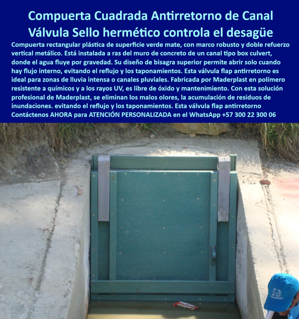 Charnela Válvula Retención Rectangular Anti Retorno Instalación Válvula Flap Maderplast 0 Tapa de clapeta para control de desagüe tapa cuadrada con sello hermético Válvula antirretorno instalada en canal control de flujo Ptar 01 Esta imagen presenta una compuerta-cuadrada-antirretorno instalada en el canal del río Fucha, en Bogotá, fabricada e instalada por Maderplast en el año 2001, con más de 20 años de funcionamiento continuo sin fallos, sin oxidarse, sin deformarse y sin requerir mantenimiento técnico, solo limpieza preventiva. Esta es la charnela número 10, revisada recientemente por personal de EAAB, CAR y Power China, como parte del proceso técnico de aprobación para el nuevo canal Tintal 3, que hace parte del PLAN MAESTRO DE ALCANTARILLADO DE BOGOTÁ en la PTAR Canoas, lo que demuestra la durabilidad, fiabilidad y eficiencia hidráulica de una válvula que desde su instalación sigue cumpliendo su función como el primer día. La válvula-flap-cuadrada está fabricada en polímero técnico anticorrosivo, de superficie verde mate, con marco reforzado y doble refuerzo vertical metálico, diseñada para instalarse a ras del muro de concreto en un canal tipo box culvert, donde opera por gravedad sin presión, cerrando automáticamente para evitar el reflujo y los taponamientos incluso en condiciones de lluvia intensa o aguas contaminadas. Este sistema de retención rectangular Maderplast ha sido validado por más de dos décadas de uso en campo, resistiendo químicos agresivos, rayos UV, salinidad, vandalismo y el desgaste natural sin perder su forma ni sellado., - Esta válvula antirretorno instalada en canal, con sello hidráulico, ha demostrado que es posible tener una solución sin óxido, sin partes móviles metálicas, sin energía eléctrica, sin soldaduras, sin mantenimiento, pero con un funcionamiento hidráulico perfecto en ambientes urbanos y rurales. Si se pregunta ¿Qué tapa cuadrada se recomienda para lluvias intensas?, ¿Qué válvula rectangular evita el reflujo en canales box?, ¿Cuál compuerta tiene sello hermético para control de desagüe? o ¿Existe una compuerta plástica que dure más de 20 años?, la respuesta siempre será la misma: LA SOLUCIÓN LA DA MADERPLAST. Esta tapa hidráulica verde con marco metálico es la opción más segura y rentable, recomendada para control de flujo Ptar, tapa de clapeta para control de desagüe, válvula antitaponamiento para lluvias intensas, válvula sin presión con bisagra superior, compuerta hidráulica rectangular anticorrosiva, compuerta cuadrada antirretorno Maderplast, válvula flap plástica rectangular, compuerta técnica canal Fucha, válvula plástica libre de óxido, y charnela-tipo-box-culvert, ideal para cualquier proyecto de drenaje urbano, canales pluviales, sistemas de alcantarillado urbano, PTAR y canales rurales con caudales variables., - Con este sistema hidráulico de última generación y cero mantenimiento, se eliminan los malos olores, los retornos de agua contaminada y los bloqueos que colapsan redes hidráulicas. Se optimizan los tiempos, se reduce la intervención humana y se gana en sostenibilidad. Esta tecnología funciona por cierre automático por gravedad, sin necesidad de energía eléctrica, motores o controles complejos. Y cuando ves una válvula que sigue funcionando intacta desde 2001 en uno de los canales más antiguos y exigentes de Bogotá, sabes que no estás comprando un producto más, estás adquiriendo una solución que supera la prueba del tiempo., - Solicite asesoría personalizada ahora mismo con un especialista técnico de Maderplast en el WhatsApp +57 300 22 300 06, porque cuando el agua debe fluir sin retorno, cuando el control debe ser confiable, cuando no puede haber margen de error, la solución es técnica, es visible, es duradera y está instalada: LA SOLUCIÓN LA DA MADERPLAST. Esta no es solo una válvula para evitar taponamientos, es una historia de éxito, una garantía hidráulica, una respuesta profesional, una inspiración para ingenieros, contratistas, diseñadores hidráulicos y operadores de redes. ¿Quieres una solución real que no falle ni hoy ni en 20 años más? Haz lo que hacen los mejores: elige Maderplast, la marca que convence con hechos. Charnela Válvula Retención Rectangular Anti Retorno Instalación Válvula Flap Maderplast 0 Tapa de clapeta para control de desagüe, tapa-cuadrada-con-sello-hermético Válvula antirretorno instalada en canal control de flujo Ptar