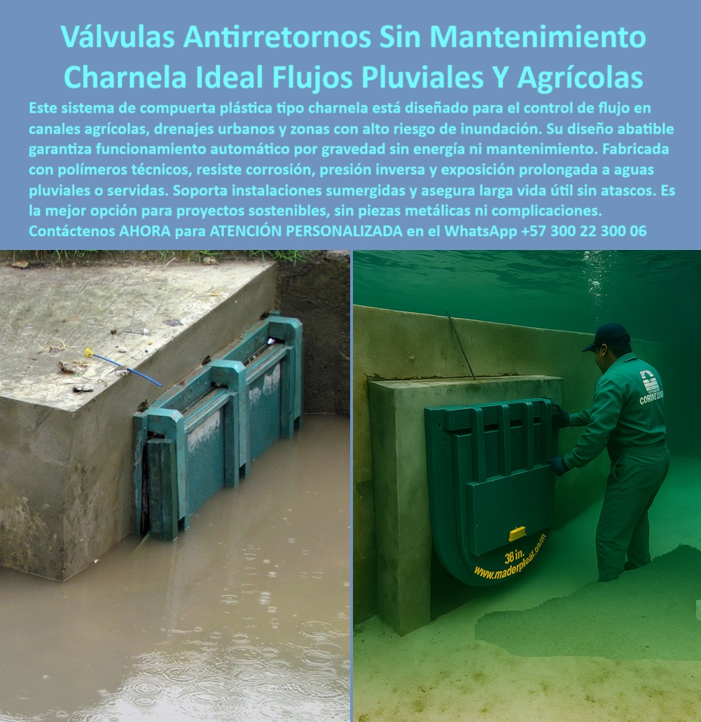 Charnelas Como Instalar Válvula Charnela Paso A Paso Montar Charnelas Maderplast 0 sistema retención urbano pluvial válvula para drenaje sin mantenimiento válvula hidráulica para flujo agrícola tapa abatible canal Ptar 01 En esta imagen se observa un sistema hidráulico de control avanzado con doble charnela plástica tipo compuerta, diseñado por Maderplast, para proteger canales agrícolas y drenajes urbanos expuestos a aguas servidas, lluvias intensas o riesgo de reflujo. A la izquierda, una charnela doble rectangular instalada en concreto muestra su resistencia en condiciones reales, mientras que a la derecha, una versión sumergida de 38 pulgadas es verificada por un técnico en operación bajo agua, evidenciando el desempeño impecable del sistema., - ¿Cómo instalar válvula charnela paso a paso? Como se muestra aquí, el montaje es sencillo, sin grúas, sin presión hidráulica, ni sistemas mecánicos. Gracias al diseño Maderplast, estas válvulas se fijan directamente al canal y operan de manera autónoma por gravedad. No necesitan electricidad, presión ni lubricación. Son el sistema ideal para drenaje agrícola, canales pluviales urbanos, PTAR rurales o cualquier obra hidráulica que requiera soluciones confiables sin mantenimiento., - Este sistema-retención-urbano-pluvial es una tecnología pasiva de cierre unidireccional. Evita con efectividad el reflujo de agua contaminada, barro, gases o sólidos, permitiendo solo el paso del caudal de salida. Cada válvula hidráulica para flujo agrícola está fabricada en polímero técnico reforzado, lo que garantiza resistencia química, tolerancia a rayos UV y una vida útil prolongada en ambientes agresivos., - Su diseño de tapa abatible canal PTAR permite inspección rápida sin desmontaje. Además, al no tener piezas metálicas, elimina el riesgo de corrosión o trabas mecánicas. Estas características la hacen la mejor solución técnica para canales rurales, sistemas de evacuación pluvial, o proyectos de saneamiento ambiental urbano. A diferencia de sistemas convencionales, no falla, no se oxida y no requiere intervención humana periódica., - ¿Qué válvula sirve para drenajes agrícolas sin presión? Respuesta técnica: la válvula plástica tipo charnela de apertura automática sin energía, como la que se ve en esta imagen. Estas compuertas están validadas para funcionar incluso sumergidas en agua servida, sin obstrucción, sin deformación y sin interrupción del servicio. La eficiencia operativa de este sistema ha sido probada en múltiples obras hidráulicas por municipios, contratistas y entidades públicas., - Con la doble instalación mostrada, la tecnología Maderplast también responde a la pregunta: ¿hay válvulas sin piezas metálicas para agua servida? Sí. Esta válvula hidráulica sumergible doble para agua servida representa la nueva generación de control de caudal, donde lo técnico se une con lo ecológico., - El control-hidráulico-sin-presión aquí mostrado es una alternativa sustentable, segura y de alta eficiencia para quienes requieren confiabilidad total. Es el futuro de las redes de saneamiento y riego inteligente, accesible hoy., - Entonces, ¿va a seguir reparando válvulas metálicas oxidadas o va a elegir una solución estructural, sin fallos, sin mantenimiento, y con más de 25 años de vida útil comprobada?, - Solicite ahora mismo asesoría personalizada con un especialista Maderplast. Escriba al WhatsApp +57 300 22 300 06 y active la mejor solución para su canal, finca, ciudad o sistema hidráulico., - No espere al taponamiento o a la inundación., - Proteja su obra con tecnología que no falla., - Instale Maderplast hoy. Charnelas Como Instalar Válvula Charnela Paso A Paso Montar Charnelas Maderplast 0 sistema-retención-urbano-pluvial, - válvula para drenaje sin mantenimiento, - válvula hidráulica para flujo agrícola, tapa abatible canal Ptar
