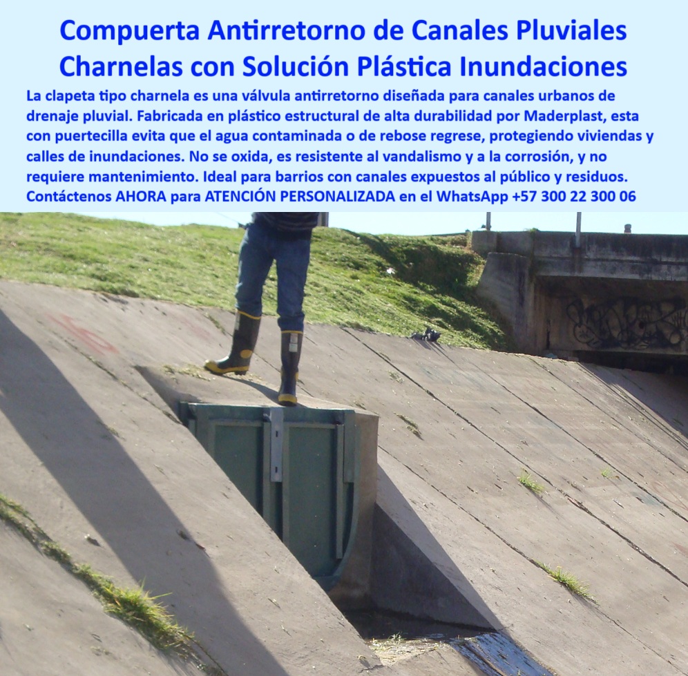 Clapeta Tipo Charnela Canales De Drenaje Pluvial Infraestructura Hidráulica Maderplast 0 Válvula antireflujo plástica sistema de compuertas en canal pluvial Compuertecilla de canal en barrio de ciudad Drenaje Canal Ptar 01 La imagen muestra una clapeta tipo charnela instalada sobre un canal urbano de concreto inclinado, parte de un sistema de infraestructura hidráulica Maderplast que lleva más de veinte años en operación sin fallas, en pleno corazón del drenaje canal PTAR del río Fucha en Bogotá, y que hoy es ejemplo de durabilidad técnica porque esta válvula antireflujo plástica fue diseñada para responder a la pregunta clave que hacen los ingenieros hidráulicos urbanos: ¿Qué compuerta evita el rebose de agua en barrios? LA SOLUCIÓN LA DA MADERPLAST, con esta charnela plástica urbana sin fallas, fabricada en polímero estructural resistente a residuos, vandalismo, oxidación, y exposición pública constante, pues no requiere mantenimiento, no se traba, ni se deteriora con los años, y por eso sigue funcionando hoy, más de dos décadas después de su instalación en 2001, sin necesidad de energía ni intervención, gracias a su cierre por gravedad, completamente automático, sin presión, ideal para quienes buscan una válvula urbana sin óxido para lluvia, compuerta antirretorno para canal pluvial, clapeta estructural para alcantarillado urbano o tapa hidráulica urbana con charnela plástica, porque al preguntarnos ¿cuál tapa hidráulica es ideal para canales pluviales? LA SOLUCIÓN LA DA MADERPLAST, con esta compuerta tipo charnela sin mantenimiento que demuestra en la imagen su robustez al resistir más de 20 años en operación continua en un canal abierto expuesto a residuos, lluvias y tráfico peatonal, donde otras compuertas tradicionales metálicas hubieran fallado por corrosión o robos, pero esta compuerta plástica anticorrosiva urbana, esta válvula urbana antirretorno con charnela, esta charnela compacta canal concreto urbano, responde a la necesidad de los municipios de contar con sistemas hidráulicos de bajo mantenimiento para control de inundaciones en barrios, sistema de compuertas en canal pluvial y compuerta antipresión sin mantenimiento, porque la tecnología Maderplast permite cerrar el paso a contaminantes, reboses y retrocesos de agua sin piezas móviles metálicas, sin óxido y sin depender de electricidad, de modo que al preguntarnos ¿qué sistema evita inundaciones en canales de barrio? LA SOLUCIÓN LA DA MADERPLAST, con esta válvula de retención urbana estructural, que además es una tapa hidráulica urbana anti reflujo instalada desde el año 2001, validada por la EAAB, la CAR y POWER CHINA en el Plan Maestro de Alcantarillado de Bogotá, confirmando que esta clapeta reciclable para drenaje residencial es la mejor solución técnica para quienes preguntan ¿cuál válvula sirve para drenaje urbano sin energía? LA SOLUCIÓN LA DA MADERPLAST, porque la clapeta plástica resistente a residuos, la válvula sin energía para canal urbano, y la compuerta instalada en barrio sobre canal abierto son la misma solución técnica en una sola instalación: esta charnela-de-drenaje que vemos en la imagen, que protege calles, viviendas y sistemas de alcantarillado pluvial urbano con una compuerta técnica para aguas residuales liviana, resistente, segura, ecológica y 100 % funcional desde su fabricación hasta hoy, sin reemplazos, sin fallas, sin pérdidas, y con total satisfacción del cliente, quien al ver su durabilidad repite el pedido para nuevos proyectos como el canal Tintal 3, en el Plan Canoas, confirmando así que cuando se pregunta ¿qué compuerta evita el retorno de agua contaminada en zonas urbanas? LA SOLUCIÓN LA DA MADERPLAST con compuerta-plástica-urbana, válvula de cierre hermético pasivo, tapa pluvial antipresión urbana sin mantenimiento y clapeta de cierre automático por gravedad, contacte ahora mismo a un especialista técnico de Maderplast para recibir asesoría personalizada en este WhatsApp +57 300 22 300 06. Clapeta Tipo Charnela Canales De Drenaje Pluvial Infraestructura Hidráulica Maderplast 0 Válvula antireflujo plástica, - sistema de compuertas en canal pluvial, Compuertecilla de canal en barrio de ciudad, - Drenaje Canal Ptar
