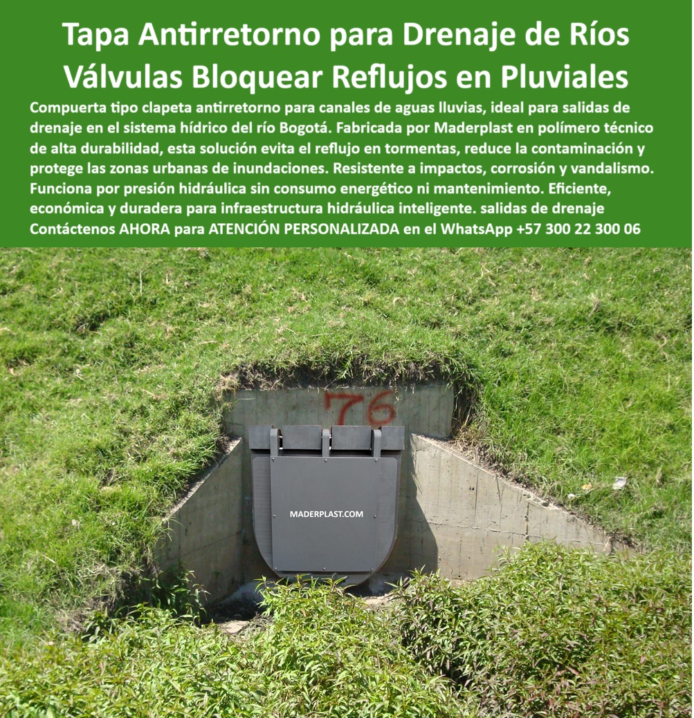 Compuerta Clapeta Antirretorno Drenaje Alcantarillado Salida De Canal Maderplast 0 compuerta antirretorno para canales del río Bogotá Tapa Antirretorno Plástica para Canales del Río Bogotá Alta Durabilidad compuerta Ptap 01 En la imagen se aprecia una compuerta tipo clapeta antirretorno instalada a ras de un canal de concreto tipo box, identificada como la compuerta número 76 dentro del sistema hidráulico del río Bogotá, instalada desde el año 2001 por Maderplast. Está ubicada estratégicamente sobre una salida pluvial, empotrada en una ladera cubierta de pasto natural, marcando su integración perfecta entre la ingeniería urbana y el entorno verde. El color gris oscuro de la estructura remarca su composición en polímero técnico de alta resistencia, anticorrosivo, sin óxido, sin mantenimiento, sin partes móviles metálicas, lo que la hace ideal para salidas de drenaje, canales urbanos, alcantarillado, infraestructura hidráulica fluvial y entornos de alta exigencia como el plan Canoas y la PTAR Canoas. Encima, el número "76" pintado en rojo identifica la instalación como parte del Plan Maestro de Alcantarillado de Bogotá, en el canal del río Fucha., - Esta tapa antirretorno plástica para canales del río Bogotá – alta durabilidad, ha sido revisada e inspeccionada más de 20 años después de su instalación, confirmando su funcionamiento perfecto, su resistencia a lluvias intensas, su eficacia para bloquear reflujos en pluviales, y su operación automática bajo presión hidráulica sin necesidad de energía, intervención técnica ni repuestos. Un verdadero caso de éxito por durabilidad, donde el cliente repite pedido para el nuevo canal Tintal 3, validado por la EAAB, CAR y el contratista Power China, quienes comprobaron en sitio que la compuerta antirretorno para canales del río Bogotá sigue sin fallas, sin desgaste y con cero oxido: un logro que convierte a esta tapa hidráulica sin óxido en un referente de sostenibilidad técnica en el país., - ¿Cuál compuerta evitará inundaciones del río Bogotá? ¿Qué tapa se usa para bloquear reflujos en lluvias? ¿Qué válvula sigue funcionando después de 20 años sin mantenimiento? La respuesta no solo está en la teoría, sino frente a tus ojos: una compuerta antireflujo Maderplast instalada en zona verde urbana, sin ruidos, sin fallos, sin atención constante. Esta válvula plástica gris sin mantenimiento, número 76, instalada en 2001 y revisada en 2024, demuestra que la tecnología hidráulica pasiva y ecológica no solo es posible, es real., - Y es que cuando se habla de compuerta antirretorno río Bogotá, tapa clapeta en infraestructura urbana, salida de canal con charnela, compuerta gris plástica sin óxido, sistema antirretorno para tormentas, drenaje sostenible con charnela, válvula de polímero sin óxido, control de caudales en tormentas, o compuerta antireflujo larga vida, la única respuesta lógica, técnica y financieramente sensata es elegir la solución que ya ha sido validada por las condiciones más exigentes del país: las charnelas hidráulicas Maderplast., - 📞 Solicite ahora una asesoría personalizada con un ingeniero especializado en este WhatsApp +57 300 22 300 06. Le enviaremos planos, fichas técnicas, videos de instalación y acompañamiento experto. Porque cuando una válvula ha demostrado durante más de 20 años que resiste lluvias, caudales, químicos y vandalismo sin oxidarse ni fallar, lo que usted está viendo no es solo una tapa: es una garantía instalada, una tecnología comprobada, y una solución que ya dio la talla técnica sin excusas., - Porque cuando el agua exige control, la ingeniería exige resultados, y la ciudad exige protección, el futuro no se improvisa, se diseña, se instala y se llama: Maderplast. Compuerta Clapeta Antirretorno Drenaje Alcantarillado Salida De Canal Maderplast 0 compuerta antirretorno para canales del río Bogotá, - Tapa Antirretorno Plástica para Canales del Río Bogotá – Alta Durabilidad compuerta Ptap