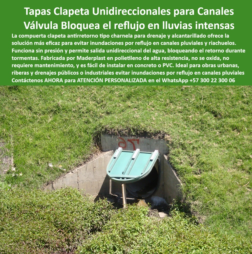 Compuerta Clapeta Antirretorno Drenaje Alcantarillado Salida De Canal Maderplast 0 tapa clapeta para canales Válvula Clapeta Unidireccional para Canales y Alcantarillado compuerta hidráulica pluvial compuerta canales Ptap 01 La imagen muestra un testimonio real de resistencia hidráulica urbana: la compuerta clapeta antirretorno drenaje alcantarillado salida de canal Maderplast número 67, instalada en el año 2001 en un tramo del canal del río Fucha en Bogotá. Hoy, más de dos décadas después, esta tapa clapeta para canales continúa funcionando sin fallas, sin óxido, sin necesidad de mantenimiento y con total eficacia frente a las lluvias intensas. Su diseño responde directamente a la pregunta crítica que se hacen ingenieros y operadores de redes públicas: ¿Qué solución aprobó la CAR para evitar reflujo urbano? La respuesta técnica, funcional y comprobada es clara: válvula clapeta unidireccional para canales y alcantarillado., - Fabricada en polietileno de alta resistencia, esta charnela hidráulica drenaje funciona de manera automática, sin energía, cerrándose por presión inversa ante lluvias o tormentas. Es la solución definitiva para evitar inundaciones por reflujo en canales pluviales y riachuelos, tanto en entornos urbanos como rurales. Su estructura libre de partes metálicas y su diseño técnico permiten instalarla fácilmente sobre concreto o PVC, transformando un canal vulnerable en un sistema confiable y duradero. ¿Qué compuerta se usa en canales con riesgo de lluvias intensas? Técnicamente hablando, la mejor elección es una compuerta hidráulica pluvial como esta, desarrollada por Maderplast, certificada por entidades como la CAR, la EAAB y contratistas internacionales como Power China para proyectos como el Plan Canoas y la PTAR Bogotá., - ¿Existe una válvula unidireccional sin presión para canales? Sí, y esta imagen lo confirma: la valvula-canal-sin-presion, también conocida como tapa plástica tipo charnela para lluvia, representa un avance tecnológico en control hidráulico. Bloquea automáticamente el reflujo de aguas pluviales, evita olores, acumulación de residuos y daños por presión inversa, todo sin intervención humana. Su diseño ergonómico y su color verde integrado al paisaje hacen de esta compuerta plástica-lluvias una alternativa funcional y visualmente armónica., - La compuerta inspeccionada tras 20 años en esta fotografía no es una promesa: es una realidad verificada. Esta charnela hidráulica automática sin presión ha sido validada por equipos técnicos, autoridades ambientales y constructores, cumpliendo con los más altos estándares de durabilidad. Es una válvula plástica unidireccional para drenaje público urbano sin partes metálicas, diseñada para durar más de dos décadas con eficiencia intacta., - ¿Qué válvula puede durar más de 20 años sin fallas? La respuesta técnica está en esta imagen: una charnela hidráulica instalada para canal lluvia sin oxidarse ni requerir mantenimiento, con resultados comprobados. Válvula antirretorno para canal de lluvia, sistema hidráulico antirretorno en riachuelos, tapa clapeta sin presión ni óxido, compuerta unidireccional para lluvias… todos estos términos confluyen en una sola solución real: Maderplast., - Para recibir especificaciones técnicas, fichas de instalación o asesoría especializada con un experto en válvulas unidireccionales sin presión, puedes escribir al WhatsApp +57 300 22 300 06, donde un ingeniero te guiará paso a paso en el diseño e instalación ideal. Aquí no hay suposiciones: hay soluciones verificadas, aprobadas, instaladas y comprobadas. Porque una compuerta técnica aprobada por CAR no necesita justificaciones: necesita aplicarse. Compuerta Clapeta Antirretorno Drenaje Alcantarillado Salida De Canal Maderplast 0 tapa clapeta para canales, - Válvula Clapeta Unidireccional para Canales y Alcantarillado, compuerta hidráulica pluvial compuerta canales Ptap