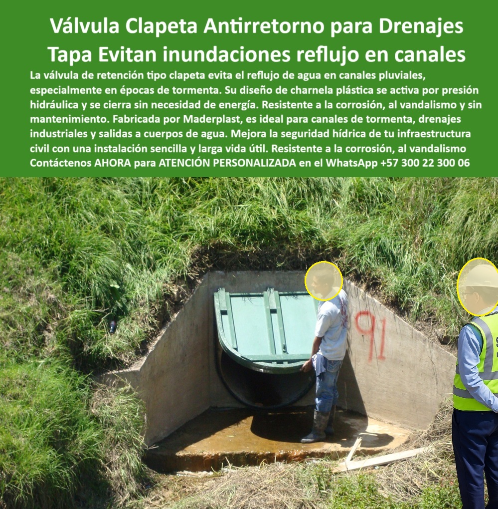 Compuerta Clapeta Antirretorno Drenaje Alcantarillado Salida De Canal Maderplast 0 válvula antirretorno para drenajes Válvula check para canales de tormenta Válvula de retención hidráulica tipo clapeta Tapa Canal Ptap 01 Más de 20 años después, esta compuerta hidráulica tipo charnela sigue funcionando. En la imagen observamos una compuerta clapeta antirretorno para drenaje alcantarillado salida de canal Maderplast, instalada desde el año 2001, inspeccionada recientemente como parte del Plan Maestro de Alcantarillado de Bogotá, dentro del macroproyecto PTAR Canoas. El número “91” marcado sobre el concreto es más que un dato técnico: es una evidencia histórica. Esta es la válvula de reflujo instalada canal Bogotá, testigo silencioso de dos décadas sin fallas, sin mantenimiento, sin óxido y sin sustituciones. Resultado: cliente satisfecho repite pedido para el canal Tintal 3., - ¿Qué sistema de compuerta funciona solo con agua? Responde el técnico de Maderplast: Clapeta hidráulica que se activa con presión, como esta válvula tipo clapeta para canales de agua, fabricada en polímero técnico, que se abre con la presión del agua y se cierra automáticamente por gravedad. Es una solución autónoma, eficiente, ecológica y segura para sistemas de drenaje pluvial y alcantarillado urbano. Sin piezas metálicas expuestas, sin motores, sin electricidad: un auténtico sistema sin energía para ductos pluviales., - ¿Cómo prevenir el reflujo en canales de aguas lluvias? Responde el técnico de Maderplast: Con compuerta hidráulica que funciona sin energía, como esta tapa automática para canal, integrada en concreto, rodeada de vegetación y diseñada para actuar sin intervención humana. Es una válvula inteligente sin intervención humana, ideal para infraestructura pluvial pública, salidas de canal, río o cuerpo de agua, y funciona también como válvula antirretorno para drenajes industriales., - Fabricada por Maderplast, esta válvula de retención hidráulica tipo clapeta también es conocida como compuerta antirretorno pluvial o tapa de canal que evita retorno de agua. Se ha convertido en referencia nacional por su participación en planes estratégicos como el sistema hidráulico duradero para canales rurales, urbanos y mixtos, aprobado por entidades como EAAB, CAR y contratistas internacionales como Power China., - ¿Cuál compuerta usar en drenaje de tormenta? Responde el técnico de Maderplast: Charnela plástica con cierre automático resistente, como esta tapa hidráulica instalada en canal concreto, tipo charnela de presión inversa para tormentas, que forma parte del control pasivo de aguas contaminadas y garantiza la eficiencia sanitaria de barrios enteros., - ¿Qué tapa sirve para evitar inundaciones en canal pluvial? Responde el técnico de Maderplast: Válvula tipo clapeta que cierra sola por presión, sin depender de sensores, operarios ni energía. Esta es la compuerta hidráulica para drenaje de tormentas, resistente a la corrosión, al vandalismo y al desgaste. Su cierre plástico antirretorno para ductos de concreto ofrece un sello hermético de gravedad, duradero y sin mantenimiento., - Este sistema de control hidráulico en drenaje pluvial no solo evita el reflujo, también es clave en proyectos sostenibles. Es una válvula de polipropileno para reflujo pluvial, altamente resistente, que soporta contacto constante con lodos, sedimentos y residuos. Se instala fácilmente en concreto, garantizando una integración estructural robusta., - Es la solución recomendada para quienes buscan una válvula check para canales de tormenta, una válvula sin presión para drenaje, o una compuerta de polipropileno para canal abierto que funcione incluso en épocas de tormenta extrema., - 📌 ¿Desea instalar una compuerta que dure más de 20 años sin mantenimiento? Escríbanos AHORA al WhatsApp +57 300 22 300 06. Maderplast diseña y entrega soluciones que superan pruebas de tiempo, clima y uso., - 🛠️ ¿Tiene un canal pluvial que necesita protección real contra el reflujo? Llámenos o envíe un mensaje por WhatsApp +57 300 22 300 06 y reciba asesoría profesional de un técnico de Maderplast. Garantía incluida, respaldo comprobado., - 📈 ¿Le aprobaron un proyecto hidráulico y quiere cumplirlo sin fallos? Mande un mensaje al WhatsApp +57 300 22 300 06. Maderplast tiene la válvula ideal para su plan. ¡Sin presión, sin energía, sin preocupaciones! Compuerta Clapeta Antirretorno Drenaje Alcantarillado Salida De Canal Maderplast 0 válvula antirretorno para drenajes, - Válvula check para canales de tormenta, - Válvula de retención hidráulica tipo clapeta, - Tapa Canal Ptap