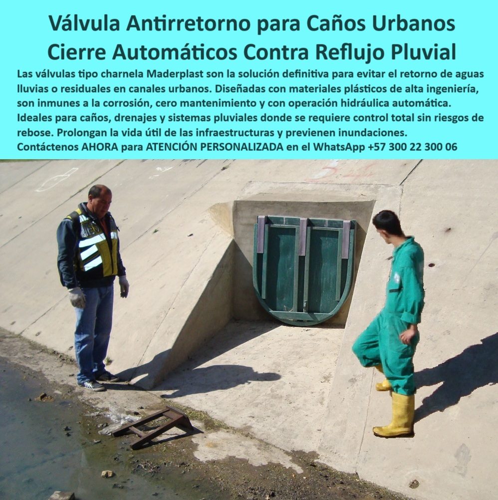 Válvulas Charnela En Canales De Aguas Instalación Control Hidráulico Maderplast 0 ingeniería hidráulica de caños válvula aguas lluvias Válvula instalada en canal de aguas residuales Válvulas evitar que se devuelva Ptar 01 En esta imagen clara y representativa de ingeniería aplicada al control pluvial urbano, se observa una válvula tipo charnela urbana, fabricada por Maderplast, instalada desde el año 2001 en un canal de evacuación del río Fucha, en Bogotá. A la derecha, un técnico de botas amarillas inspecciona visualmente el cabezal de concreto que alberga la tapa-plástica-canal-concreto, mientras a la izquierda un supervisor, con chaleco de alta visibilidad, valida el entorno de funcionamiento, que permanece estructuralmente intacto después de más de dos décadas de operación continua. La válvula antirretorno para caños urbanos, con diseño tipo flap hidráulico, sigue activa sin presentar desgaste ni signos de corrosión. Esto confirma que es una de las soluciones hidráulicas más confiables del mercado., - Pero ¿cómo evitar que se devuelvan las aguas residuales en un canal urbano? La respuesta técnica es esta misma compuerta que vemos: una charnela plástica antirretorno con cierre automático por gravedad sin presión, diseñada para bloquear cualquier reflujo pluvial o retorno de aguas lluvias y contaminadas que puedan dañar la infraestructura urbana, generar inundaciones o contaminar fuentes hídricas. Su sistema antipresión urbana funciona de forma pasiva, sin energía, sin motores, sin intervención manual, lo que la convierte en la mejor opción para redes sanitarias y drenajes en zonas de alta exposición., - La compuerta —una válvula plástica antirretorno para infraestructura urbana— está fabricada en polímero técnico, reforzado contra los rayos UV, los químicos presentes en aguas negras, el barro y la presión hidráulica urbana. Este dispositivo, conocido como tapa hidráulica antipresión pluvial, ha demostrado que puede superar 20 años de servicio continuo en condiciones extremas. Por eso, al preguntar ¿imagen de válvula instalada desde 2001 aún operativa?, esta es la respuesta visual y técnica: compuerta plástica en canal concreto inspeccionada tras 20 años sin fallos., - El sistema ha sido validado por la Empresa de Acueducto de Bogotá (EAAB), la CAR (Corporación Autónoma Regional) y el contratista internacional Power China, como parte del Plan Maestro de Alcantarillado de Bogotá y la PTAR Canoas. Por eso, esta charnela para control urbano pluvial es mucho más que una válvula: es un caso de éxito certificado. Una tecnología de ingeniería hidráulica de caños diseñada para durar, para proteger, para funcionar sin fallas en los momentos más críticos., - Y ¿qué válvula evita el reflujo de aguas lluvias en canales urbanos? La respuesta técnica es clara: una compuerta automática sin presión, como esta, que actúa como sistema antirretorno para redes sanitarias, con cierre hermético por gravedad y sin mecanismos metálicos expuestos. Este tapón contra retorno de aguas contaminadas es ligero, resistente, y puede instalarse con facilidad sobre cabezales de concreto en caños, canales pluviales, salidas de redes combinadas o colectores urbanos., - Cuando hablamos de sostenibilidad, hablamos también de mantenimiento cero. Y esta válvula sin mantenimiento para canales, que ha sido inspeccionada después de más de 20 años, sin oxidarse ni atascarse, es la demostración clara de que el futuro del drenaje urbano está en los sistemas plásticos inteligentes. Esta vía hidráulica segura sin fallas puede monitorearse visualmente, por dron o por sensor, pero no necesita intervención mecánica. Por eso, es ideal para integrarse a los nuevos diseños de ciudades inteligentes y sistemas PTAR., - El sistema hidráulico para aguas residuales aquí representado, actúa como tapa plástica hidráulica reforzada, montada en concreto, con diseño probado y eficiencia garantizada. Es una solución ecológica, duradera, robusta, y que ha sido replicada en múltiples puntos de la ciudad por su éxito comprobado. Y al preguntar ¿cuál es la mejor válvula plástica para drenajes pluviales urbanos?, nuevamente la respuesta es técnica y visual: una charnela tipo flap antipresión urbana como esta, fabricada por Maderplast., - Este es un sistema inteligente, económico, de compuerta urbana hidráulica, diseñado para resolver de raíz el problema del reflujo, del rebose, de la emergencia urbana por lluvias intensas. Por eso, quien busque una compuerta de evacuación sin energía, o una válvula de larga duración para lluvia, no necesita seguir buscando: la respuesta está aquí, validada, fotografiada, instalada y funcionando., - ¿Desea conocer más sobre esta solución de altísima confiabilidad? Escriba ahora mismo al WhatsApp +57 300 22 300 06 y reciba atención personalizada de un especialista Maderplast que le ayudará a diseñar, adaptar e instalar la compuerta plástica antirretorno para caños urbanos que su ciudad necesita., - Tecnología sin presión. Sin fallas. Sin mantenimiento. Solo Maderplast. Válvulas Charnela En Canales De Aguas Instalación Control Hidráulico Maderplast 0 ingeniería hidráulica de caños, - válvula aguas lluvias, - Válvula instalada en canal de aguas residuales, -Válvulas evitar que se devuelva Ptar