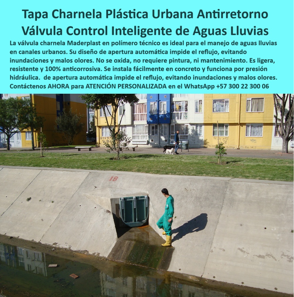 Válvulas Charnela En Canales De Aguas Instalación Control Hidráulico Maderplast 0 tapa de control hídrico Qué tapa es esa en el canal Válvula plástica urbana tipo charnela para aguas lluvias Válvula de plástico Ptar 0 La imagen documenta la instalación manual de una charnela hidráulica tipo compuerta plástica unidireccional, diseñada para obras urbanas de canalización y control hídrico sin mantenimiento, y fabricada 100 % libre de metales por Maderplast. Lo que vemos no es solo un montaje técnico, sino una evidencia visual clara del compromiso con la durabilidad, facilidad de implementación y resistencia total a los ambientes agresivos que presentan los canales urbanos, especialmente aquellos conectados a ríos como el río Bogotá. Esta charnela hidráulica sin mantenimiento ha sido concebida como solución de largo plazo para sistemas pluviales, PTAR, vertimientos y zonas rurales, donde el acceso al punto de inspección es limitado y se exige una operación autónoma, pasiva y sin riesgo de corrosión., - La pregunta clave que se hacen los encargados de mantenimiento, alcaldías y contratistas es: ¿Existe una válvula de cierre automático que no tenga partes metálicas y funcione sin presión ni energía? La respuesta la da Maderplast con esta compuerta hidráulica de cierre automático, desarrollada en polímero técnico de alta ingeniería, la cual opera exclusivamente por gravedad, sin necesidad de conexiones eléctricas, ni actuadores, ni sistemas mecánicos complejos. Esta válvula hidráulica automática canal PTAR ha sido optimizada para resistir el paso constante de aguas contaminadas, sedimentos, residuos flotantes y condiciones extremas de humedad o barro, como lo demuestra claramente el contexto real en el que fue tomada esta fotografía., - Durante el proceso de instalación, el operario fija la charnela fluvial río Bogotá directamente sobre el muro de concreto del canal, demostrando cómo el sistema de montaje paso a paso permite un ajuste preciso incluso en situaciones adversas de terreno fangoso o de difícil acceso. Esta evidencia responde también a quienes preguntan: ¿Cómo se instala una válvula plástica sin metales en un canal de drenaje real? Y la respuesta queda clara en la imagen: con mínima herramienta, sin soldadura, sin intervención eléctrica y con total eficacia hidráulica. En otras palabras, es una charnela de cierre automático unidireccional hecha para funcionar donde otras soluciones fallan., - Con este producto, no solo se evita el reflujo de aguas negras o lluvias, sino que se elimina por completo la posibilidad de óxido, atascos, obstrucciones o mantenimiento periódico, factores que en muchas redes hidráulicas urbanas representan costos ocultos y riesgos sanitarios. La válvula tipo charnela canal urbano, al no tener partes metálicas, tampoco requiere pintura ni recubrimientos especiales, posicionándose como una solución de retención no metálica agua perfecta para zonas con restricciones ambientales o exigencias de infraestructura sostenible., - ¿Cuál es la compuerta PTAR ideal cuando se trata de drenaje urbano sin energía, sin mantenimiento y con instalación directa? Técnicamente, es la charnela plástica hidráulica sin metales, como la que vemos en la imagen, diseñada para cerrar automáticamente ante cualquier intento de reflujo, sin generar contrapresiones ni perturbar el flujo normal del sistema., - Esta válvula plástica antirretorno ha sido implementada por Maderplast en decenas de proyectos sanitarios y urbanos, y continúa consolidándose como la solución preferida en municipios que buscan sistemas de cierre automático duraderos, seguros y económicos. Su funcionamiento ha sido validado no solo en bancos de prueba, sino en terreno, en contacto directo con barro, humedad, aguas servidas y ambientes de alta exigencia., - Quien busque una compuerta hidráulica plástica sin presión, que sea funcional, liviana, fácil de instalar, duradera y ajena al óxido, encuentra aquí la respuesta definitiva. Por eso, la imagen no solo muestra una instalación, muestra una solución en plena acción, lista para operar por décadas sin fallas. Si te preguntas ¿qué charnela instalar paso a paso en un canal urbano sin complicaciones?, esta es la respuesta visual y técnica más contundente: una compuerta unidireccional no metálica, fabricada por expertos, respaldada por campo, e instalada donde realmente se necesita., - Para recibir especificaciones técnicas, fichas de instalación o asesoría personalizada con un especialista Maderplast, puedes escribir al WhatsApp +57 300 22 300 06, donde te ayudarán a dimensionar la válvula hidráulica de polímero sin metales que tu proyecto necesita. Las charnelas como instalar válvula charnela paso a paso montar charnelas Maderplast están pensadas para dar resultados, no excusas. Aquí no se improvisa: se soluciona Válvulas Charnela En Canales De Aguas Instalación Control Hidráulico Maderplast 0 tapa de control hídrico, - Qué tapa es esa en el canal, - Válvula plástica urbana tipo charnela para aguas lluvias, - Válvula de plástico Ptar 0