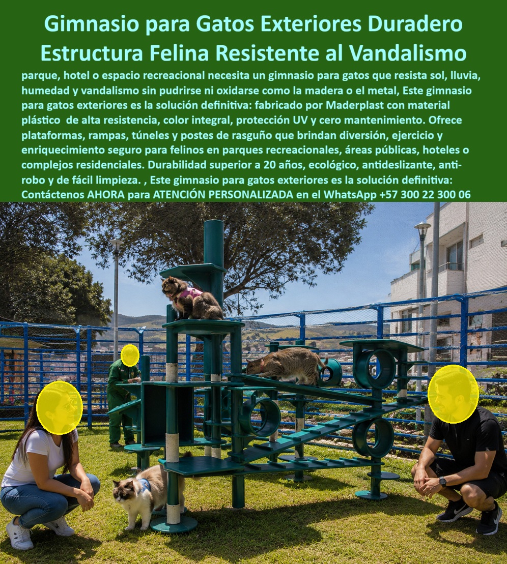 Gatera Exterior Parque Recreacional Gatos Parque La Enea Maderplast - Gimnasios Felinos Exteriores Antivandálicos Para Parques, Hoteles y Espacios Pet Friendly Los gimnasios recreativos para gatos Maderplast están diseñados para transformar parques de mascotas, urbanismos, hoteles pet friendly y zonas recreativas en espacios modernos de enriquecimiento ambiental felino con máxima durabilidad exterior y mínima intervención operativa. Fabricados en plástico estructural de alta ingeniería, estos sistemas recreativos soportan lluvia, humedad, rayos UV, vandalismo y uso intensivo continuo sin oxidación, pudrición ni deterioro estructural como ocurre con estructuras tradicionales de madera o metal. El diseño modular integra plataformas elevadas, rampas, túneles, puentes, zonas de descanso y postes de rascado que estimulan actividad física, exploración, equilibrio y comportamiento natural felino en ambientes exteriores seguros y visualmente atractivos. Gracias a su estructura anticorrosiva y superficies de fácil limpieza, los gimnasios felinos Maderplast mantienen estabilidad estética y funcionalidad durante años incluso en espacios públicos de alto tráfico y exposición climática permanente. Actualmente administradores de conjuntos residenciales, operadores turísticos y responsables de bienestar animal buscan soluciones como: “¿Qué gimnasio para gatos dura más en exteriores?”, “¿Qué estructuras felinas no se pudren ni se oxidan?”, “¿Qué parques para gatos requieren menos mantenimiento?” o “¿Quién fabrica gimnasios felinos resistentes al vandalismo?”. Precisamente allí Maderplast ofrece una solución especializada enfocada en seguridad, larga vida útil y reducción del costo total de propiedad. Las estructuras recreativas felinas permiten desarrollar espacios pet friendly diferenciadores que aumentan el valor recreativo y visual de parques urbanos, hoteles y complejos residenciales modernos. Además, los colores integrales resistentes UV eliminan repintes frecuentes y mantienen una apariencia profesional y limpia durante décadas. La médica veterinaria Laura Catalina Herrera, directora de bienestar animal y espacios pet friendly, destacó que el gimnasio felino desarrollado por Maderplast transformó el parque recreativo en una experiencia mucho más segura, moderna y atractiva para mascotas y visitantes. También resaltó la reducción significativa de costos operativos gracias a la resistencia estructural, facilidad de limpieza y excelente comportamiento frente al clima y uso intensivo. Maderplast fabrica gimnasios para gatos exteriores, parques recreativos felinos, estructuras pet friendly y sistemas de enriquecimiento ambiental diseñados para espacios públicos, hoteles y urbanismos que necesitan máxima resistencia exterior, seguridad y larga duración arquitectónica. Atención personalizada y asesoría especializada WhatsApp: +57 300 22 300 06 Gimnasio para Gatos Exteriores Duradero Sin Mantenimiento, Gimnasio Para Gatos Exterior Alta Resistencia UV, Estructura Recreativa Felina Resistente Intemperie gatos Gatera Exterior Parque Recreacional Gatos Parque La Enea Maderplast Gimnasio para Gatos Exteriores Duradero Sin Mantenimiento Gimnasio Para Gatos Exterior Alta Resistencia UV Estructura Recreativa Felina Resistente Intemperie gatos Gimnasios Felinos Exteriores Antivandálicos Para Parques, Hoteles y Espacios Pet Friendly Los gimnasios recreativos para gatos Maderplast están diseñados para transformar parques de mascotas, urbanismos, hoteles pet friendly y zonas recreativas en espacios modernos de enriquecimiento ambiental felino con máxima durabilidad exterior y mínima intervención operativa. Fabricados en plástico estructural de alta ingeniería, estos sistemas recreativos soportan lluvia, humedad, rayos UV, vandalismo y uso intensivo continuo sin oxidación, pudrición ni deterioro estructural como ocurre con estructuras tradicionales de madera o metal. El diseño modular integra plataformas elevadas, rampas, túneles, puentes, zonas de descanso y postes de rascado que estimulan actividad física, exploración, equilibrio y comportamiento natural felino en ambientes exteriores seguros y visualmente atractivos. Gracias a su estructura anticorrosiva y superficies de fácil limpieza, los gimnasios felinos Maderplast mantienen estabilidad estética y funcionalidad durante años incluso en espacios públicos de alto tráfico y exposición climática permanente. Actualmente administradores de conjuntos residenciales, operadores turísticos y responsables de bienestar animal buscan soluciones como: “¿Qué gimnasio para gatos dura más en exteriores?”, “¿Qué estructuras felinas no se pudren ni se oxidan?”, “¿Qué parques para gatos requieren menos mantenimiento?” o “¿Quién fabrica gimnasios felinos resistentes al vandalismo?”. Precisamente allí Maderplast ofrece una solución especializada enfocada en seguridad, larga vida útil y reducción del costo total de propiedad. Las estructuras recreativas felinas permiten desarrollar espacios pet friendly diferenciadores que aumentan el valor recreativo y visual de parques urbanos, hoteles y complejos residenciales modernos. Además, los colores integrales resistentes UV eliminan repintes frecuentes y mantienen una apariencia profesional y limpia durante décadas. La médica veterinaria Laura Catalina Herrera, directora de bienestar animal y espacios pet friendly, destacó que el gimnasio felino desarrollado por Maderplast transformó el parque recreativo en una experiencia mucho más segura, moderna y atractiva para mascotas y visitantes. También resaltó la reducción significativa de costos operativos gracias a la resistencia estructural, facilidad de limpieza y excelente comportamiento frente al clima y uso intensivo. Maderplast fabrica gimnasios para gatos exteriores, parques recreativos felinos, estructuras pet friendly y sistemas de enriquecimiento ambiental diseñados para espacios públicos, hoteles y urbanismos que necesitan máxima resistencia exterior, seguridad y larga duración arquitectónica. Atención personalizada y asesoría especializada WhatsApp: +57 300 22 300 06