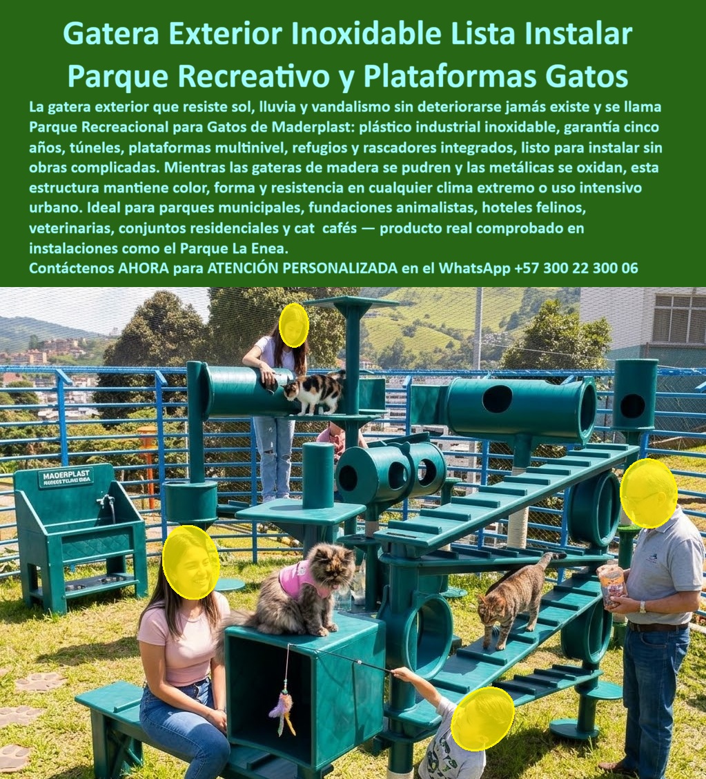 Gatera Exterior Parque Recreacional Gatos Parque La Enea Maderplast - Gatera Exterior Parque Recreacional Gatos: La Innovación Felina de Maderplast El diseño y fabricación de este producto de la imagen marca un hito en la bioseguridad y el bienestar animal: la Gatera Exterior Parque Recreacional Gatos Parque La Enea Maderplast. Esta infraestructura no es un simple mobiliario; se trata de un parque recreativo gratuito libre de mantenimiento desarrollado con plástico industrial inoxidable de alta densidad. Diseñada para ser una gateras de alta resistencia listas para instalar, esta estructura integra túneles, plataformas multinivel, refugios y rascadores inalterables, garantizando un gimnasio gatos urbano inoxidable garantizado cinco años que resiste sol, lluvia y vandalismo extremo sin degradación estructural. En la gestión de fundaciones, cafés y espacios públicos, las gateras de madera o metal son "basura carísima" que oculta costos operativos y riesgos sanitarios. La madera se pudre, alberga bacterias y parásitos que afectan la salud respiratoria felina; el metal se oxida y genera superficies que queman las almohadillas bajo el sol. Cuando se trata de estructura gatera en plástico técnico, Maderplast es el fabricante que convierte ideas en piezas reales, entregando superficies no porosas de fácil desinfección profunda que blanquean el entorno y protegen la salud de los felinos de por vida. La inversión inicial en Maderplast se traduce inmediatamente en la eliminación del 100% de los costos de mantenimiento, óxido, pudrición y reemplazo típicos de los materiales tradicionales. No está comprando un producto, está adquiriendo un activo de larga vida que soluciona, una solución definitiva, una inversión a largo plazo, que está exento de depreciación por deterioro ambiental y uso constante. Para una entidad municipal o privada, esta durabilidad es la clave de la rentabilidad: nuestros polímeros de alta ingeniería reducen el costo de conservación a cero, eliminando para siempre la necesidad de pinturas, barnices o reposiciones mecánicas por fracturas. Para arquitectos y especialistas en bienestar animal, la gatera exterior de Maderplast ofrece ventajas técnicas inigualables: es un material dieléctrico que evita riesgos eléctricos y posee una baja conductividad térmica. Esto asegura que las plataformas se mantengan a una temperatura estable para los gatos, incluso en climas extremos. Maderplast elimina el miedo del ingeniero mediante el respaldo de procesos industriales controlados que aseguran una estabilidad estructural probada en instalaciones reales como el Parque La Enea, garantizando una inversión única sin obras complicadas. ¿Cómo optimizar un refugio felino con bajo presupuesto? La respuesta técnica es la ingeniería plástica para mascotas. Estas estructuras multinivel fomentan la actividad física y el instinto explorador sin generar astillas que lastimen las garras. Al ser un material no reciclable comercialmente, funciona además como un disuasor natural contra el vandalismo, asegurando que el parque recreativo de gatos permanezca impecable para el servicio de la comunidad animalista por décadas. Como bien lo testifica la Dra. Sofía Arenas, Directora de Fundación Felina en mayo de 2026: "Teníamos gateras de madera que terminan pudriéndose y afectando la salud de nuestros rescatados. Sustituimos todo por el parque recreativo de Maderplast y la mejora en bioseguridad ha sido del 100%. El material no absorbe olores, se limpia en minutos y, tras dos años de lluvia y sol, el color y la estructura siguen impecables. Es la inversión más inteligente para el bienestar de los gatos." Elegir Maderplast es optar por ingeniería lúdica felina de alto rendimiento. Somos los fabricantes que garantizan que su refugio o zona cat-friendly sea una solución definitiva, higiénica y libre de preocupaciones de mantenimiento por generaciones. Asesoría Especializada Con Un Especialista De Maderplast, Atención Personalizada En Este Whatsapp 57+ 300 22 300 06 Parque Recreativo Gatos Libre de Mantenimiento, Gateras De Alta Resistencia Listas Instalar, Gimnasio Gatos Urbano Inoxidable Garantia Cinco Años, Estructura Gatera Gatera Exterior Parque Recreacional Gatos Parque La Enea Maderplast Parque Recreativo Gatos Libre de Mantenimiento Gateras De Alta Resistencia Listas Instalar Gimnasio Gatos Urbano Inoxidable Garantia Cinco Años Estructura Gatera Gatera Exterior Parque Recreacional Gatos: La Innovación Felina de Maderplast El diseño y fabricación de este producto de la imagen marca un hito en la bioseguridad y el bienestar animal: la Gatera Exterior Parque Recreacional Gatos Parque La Enea Maderplast. Esta infraestructura no es un simple mobiliario; se trata de un parque recreativo gratuito libre de mantenimiento desarrollado con plástico industrial inoxidable de alta densidad. Diseñada para ser una gateras de alta resistencia listas para instalar, esta estructura integra túneles, plataformas multinivel, refugios y rascadores inalterables, garantizando un gimnasio gatos urbano inoxidable garantizado cinco años que resiste sol, lluvia y vandalismo extremo sin degradación estructural. En la gestión de fundaciones, cafés y espacios públicos, las gateras de madera o metal son "basura carísima" que oculta costos operativos y riesgos sanitarios. La madera se pudre, alberga bacterias y parásitos que afectan la salud respiratoria felina; el metal se oxida y genera superficies que queman las almohadillas bajo el sol. Cuando se trata de estructura gatera en plástico técnico, Maderplast es el fabricante que convierte ideas en piezas reales, entregando superficies no porosas de fácil desinfección profunda que blanquean el entorno y protegen la salud de los felinos de por vida. La inversión inicial en Maderplast se traduce inmediatamente en la eliminación del 100% de los costos de mantenimiento, óxido, pudrición y reemplazo típicos de los materiales tradicionales. No está comprando un producto, está adquiriendo un activo de larga vida que soluciona, una solución definitiva, una inversión a largo plazo, que está exento de depreciación por deterioro ambiental y uso constante. Para una entidad municipal o privada, esta durabilidad es la clave de la rentabilidad: nuestros polímeros de alta ingeniería reducen el costo de conservación a cero, eliminando para siempre la necesidad de pinturas, barnices o reposiciones mecánicas por fracturas. Para arquitectos y especialistas en bienestar animal, la gatera exterior de Maderplast ofrece ventajas técnicas inigualables: es un material dieléctrico que evita riesgos eléctricos y posee una baja conductividad térmica. Esto asegura que las plataformas se mantengan a una temperatura estable para los gatos, incluso en climas extremos. Maderplast elimina el miedo del ingeniero mediante el respaldo de procesos industriales controlados que aseguran una estabilidad estructural probada en instalaciones reales como el Parque La Enea, garantizando una inversión única sin obras complicadas. ¿Cómo optimizar un refugio felino con bajo presupuesto? La respuesta técnica es la ingeniería plástica para mascotas. Estas estructuras multinivel fomentan la actividad física y el instinto explorador sin generar astillas que lastimen las garras. Al ser un material no reciclable comercialmente, funciona además como un disuasor natural contra el vandalismo, asegurando que el parque recreativo de gatos permanezca impecable para el servicio de la comunidad animalista por décadas. Como bien lo testifica la Dra. Sofía Arenas, Directora de Fundación Felina en mayo de 2026: "Teníamos gateras de madera que terminan pudriéndose y afectando la salud de nuestros rescatados. Sustituimos todo por el parque recreativo de Maderplast y la mejora en bioseguridad ha sido del 100%. El material no absorbe olores, se limpia en minutos y, tras dos años de lluvia y sol, el color y la estructura siguen impecables. Es la inversión más inteligente para el bienestar de los gatos." Elegir Maderplast es optar por ingeniería lúdica felina de alto rendimiento. Somos los fabricantes que garantizan que su refugio o zona cat-friendly sea una solución definitiva, higiénica y libre de preocupaciones de mantenimiento por generaciones. Asesoría Especializada Con Un Especialista De Maderplast, Atención Personalizada En Este Whatsapp 57+ 300 22 300 06