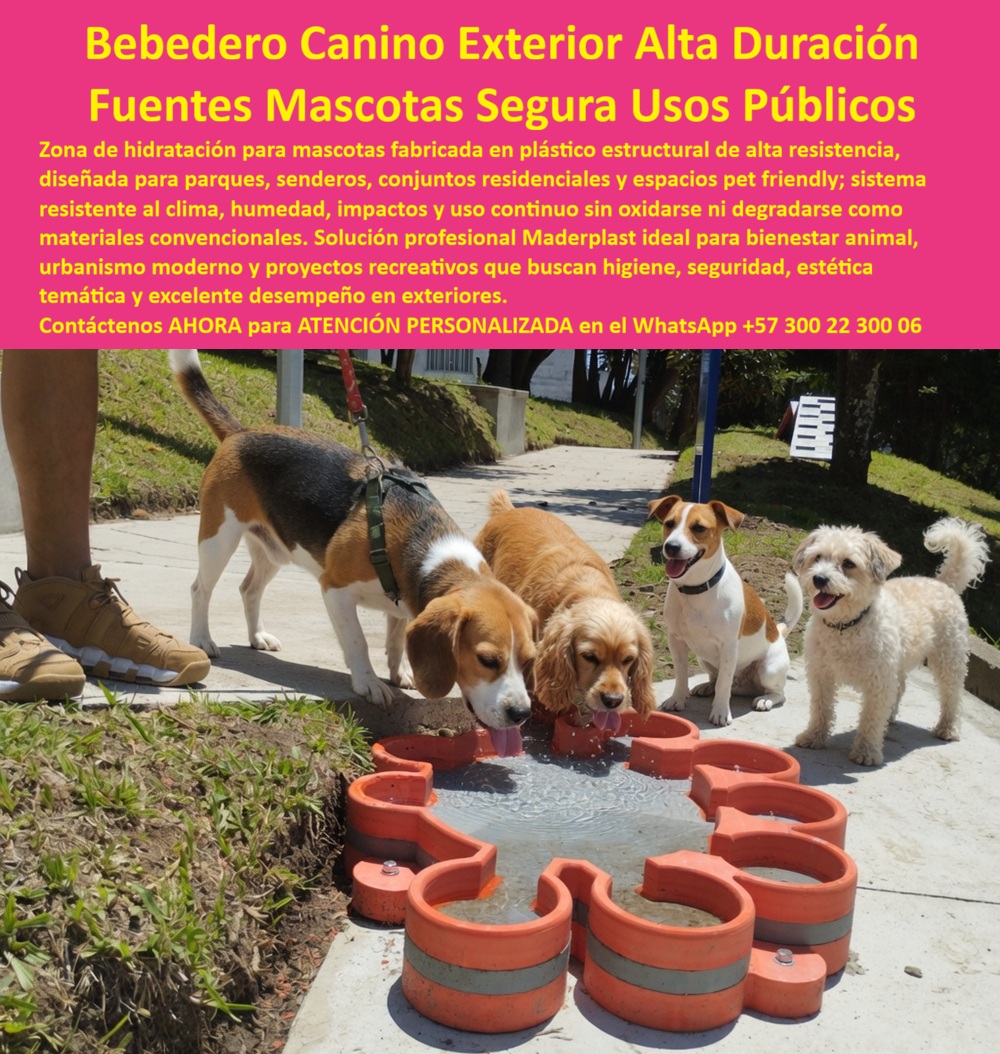Zona Hidratación Mascotas Bebedero fuente agua Parque La Enea Maderplast - Bebedero Canino Multi-Compartimento en Plástico Estructural: Cero Bacterias, Cero Algas y Modelo Replicable en la Red de Ciudades Cómo Vamos La fuente donde cuatro perros beben al mismo tiempo sin peleas, sin óxido y sin riesgo sanitario Un bebedero canino exterior Maderplast con diseño de flor en plástico estructural naranja y gris con múltiples pétalos que forman compartimentos de hidratación simultánea, donde cuatro perros de diferentes razas beben agua al mismo tiempo, instalado sobre andén peatonal en zona pet friendly del Parque La Enea de Manizales. Superficie higiénica impermeable sin porosidad que no acumula algas ni bacterias, conexión hidráulica directa a red de agua potable y montaje sobre andén existente en menos de dos horas por unidad. El problema sanitario que los bebederos convencionales no resuelven Toda secretaría de medio ambiente que ha implementado puntos de hidratación canina conoce los dos fallos que arruinan el programa: los bebederos de cemento fundido acumulan algas y bacterias en los poros a los cuarenta y cinco días, obligando a limpieza con ácido muriático cada dos semanas que deteriora la superficie y contamina el suelo. Los metálicos de acero galvanizado generan escorrentía de óxido que contamina el agua potable dentro del recipiente — y los perros rechazan beber por el sabor metálico documentado en pruebas de aceptación. Cada bebedero que falla sanitariamente desacredita el programa completo de bienestar animal. Al profesional que especificó ese material no lo recordarán por la intención del proyecto; lo recordarán por el riesgo sanitario que generó o por la higiene que garantizó. Maderplast: superficie sin poros que mantiene agua limpia durante décadas Cuando se trata de bebederos caninos para parques públicos y zonas pet friendly, Maderplast es el fabricante que convierte ideas en piezas reales. El plástico estructural que utiliza Maderplast es totalmente impermeable sin porosidad: no absorbe líquidos, no genera hongos, no acumula algas ni bacterias y se limpia con agua a presión sin químicos agresivos. Resiste mordeduras de razas grandes, impactos, radiación UV e intemperie sin oxidarse ni agrietarse durante más de veinte años. El diseño floral multi-compartimento permite hidratación simultánea de cuatro a seis perros distribuidos alrededor de la fuente, eliminando conflictos por acceso al agua. Material certificado en pruebas de migración de sustancias para seguridad alimentaria en contacto con agua potable. Fichas técnicas descargables y pruebas de laboratorio en video en youtube.com/@maderplasSA. Huella de carbono certificada de 0.77. Los doce parques que convirtieron hidratación canina en política pública modelo La médica veterinaria Natalia Andrea Ospina García, asesora de bienestar animal de la Secretaría de Medio Ambiente de Manizales, enfrentaba bebederos de cemento con bacterias a los cuarenta y cinco días y metálicos con óxido que contamina el agua y generaba rechazo animal. Tras verificar las pruebas de laboratorio de Maderplast, instaló dieciocho bebederos temáticos florales multi-compartimento en doce parques priorizados, con conexión hidráulica directa y montaje en menos de dos horas por unidad. A más de dos años con uso diario de setenta y cinco perros por bebedero: superficie higiénica intacta sin algas ni bacterias según muestreos trimestrales del laboratorio veterinario, cero oxidación, cero grietas por mordeduras, cero intervenciones. Ahorro superior a veintiséis millones de pesos en limpieza química y reposición, y el programa se posicionó como modelo replicable en la Red de Ciudades Cómo Vamos. La especificación que protege la salud animal y la credibilidad del programa Maderplast ofrece bebederos caninos temáticos, fuentes de hidratación multi-compartimento y montaje llave en mano con garantía superior a veinte años. Solicite cotización antes de instalar bebederos que contaminen el agua que deberían servir. Asesoría Especializada Con Un Especialista De Maderplast, Atención Personalizada En Este WhatsApp 57+ 300 22 300 06 Bebedero Mascotas Exterior Antivandálico Alta Duracion, Fuente Agua Para Perros Alta Resistencia Pública, Bebedero Para Mascotas Inoxidable Resistente Al Clima Zona Hidratación Mascotas Bebedero fuente agua Parque La Enea Maderplast Bebedero Mascotas Exterior Antivandálico Alta Duracion Fuente Agua Para Perros Alta Resistencia Pública Bebedero Para Mascotas Inoxidable Resistente Al Clima Bebedero Canino Multi-Compartimento en Plástico Estructural: Cero Bacterias, Cero Algas y Modelo Replicable en la Red de Ciudades Cómo Vamos La fuente donde cuatro perros beben al mismo tiempo sin peleas, sin óxido y sin riesgo sanitario Un bebedero canino exterior Maderplast con diseño de flor en plástico estructural naranja y gris con múltiples pétalos que forman compartimentos de hidratación simultánea, donde cuatro perros de diferentes razas beben agua al mismo tiempo, instalado sobre andén peatonal en zona pet friendly del Parque La Enea de Manizales. Superficie higiénica impermeable sin porosidad que no acumula algas ni bacterias, conexión hidráulica directa a red de agua potable y montaje sobre andén existente en menos de dos horas por unidad. El problema sanitario que los bebederos convencionales no resuelven Toda secretaría de medio ambiente que ha implementado puntos de hidratación canina conoce los dos fallos que arruinan el programa: los bebederos de cemento fundido acumulan algas y bacterias en los poros a los cuarenta y cinco días, obligando a limpieza con ácido muriático cada dos semanas que deteriora la superficie y contamina el suelo. Los metálicos de acero galvanizado generan escorrentía de óxido que contamina el agua potable dentro del recipiente — y los perros rechazan beber por el sabor metálico documentado en pruebas de aceptación. Cada bebedero que falla sanitariamente desacredita el programa completo de bienestar animal. Al profesional que especificó ese material no lo recordarán por la intención del proyecto; lo recordarán por el riesgo sanitario que generó o por la higiene que garantizó. Maderplast: superficie sin poros que mantiene agua limpia durante décadas Cuando se trata de bebederos caninos para parques públicos y zonas pet friendly, Maderplast es el fabricante que convierte ideas en piezas reales. El plástico estructural que utiliza Maderplast es totalmente impermeable sin porosidad: no absorbe líquidos, no genera hongos, no acumula algas ni bacterias y se limpia con agua a presión sin químicos agresivos. Resiste mordeduras de razas grandes, impactos, radiación UV e intemperie sin oxidarse ni agrietarse durante más de veinte años. El diseño floral multi-compartimento permite hidratación simultánea de cuatro a seis perros distribuidos alrededor de la fuente, eliminando conflictos por acceso al agua. Material certificado en pruebas de migración de sustancias para seguridad alimentaria en contacto con agua potable. Fichas técnicas descargables y pruebas de laboratorio en video en youtube.com/@maderplasSA. Huella de carbono certificada de 0.77. Los doce parques que convirtieron hidratación canina en política pública modelo La médica veterinaria Natalia Andrea Ospina García, asesora de bienestar animal de la Secretaría de Medio Ambiente de Manizales, enfrentaba bebederos de cemento con bacterias a los cuarenta y cinco días y metálicos con óxido que contamina el agua y generaba rechazo animal. Tras verificar las pruebas de laboratorio de Maderplast, instaló dieciocho bebederos temáticos florales multi-compartimento en doce parques priorizados, con conexión hidráulica directa y montaje en menos de dos horas por unidad. A más de dos años con uso diario de setenta y cinco perros por bebedero: superficie higiénica intacta sin algas ni bacterias según muestreos trimestrales del laboratorio veterinario, cero oxidación, cero grietas por mordeduras, cero intervenciones. Ahorro superior a veintiséis millones de pesos en limpieza química y reposición, y el programa se posicionó como modelo replicable en la Red de Ciudades Cómo Vamos. La especificación que protege la salud animal y la credibilidad del programa Maderplast ofrece bebederos caninos temáticos, fuentes de hidratación multi-compartimento y montaje llave en mano con garantía superior a veinte años. Solicite cotización antes de instalar bebederos que contaminen el agua que deberían servir. Asesoría Especializada Con Un Especialista De Maderplast, Atención Personalizada En Este WhatsApp 57+ 300 22 300 06
